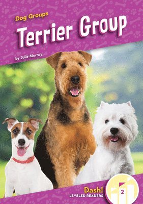 Terrier Group 1