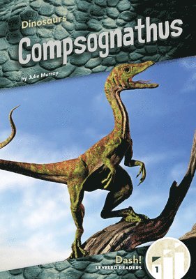 bokomslag Compsognathus