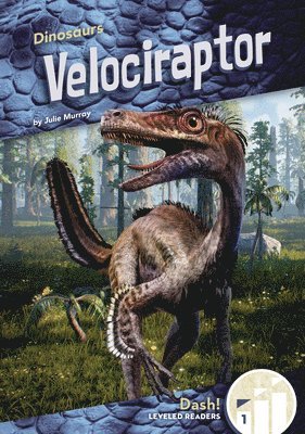 bokomslag Velociraptor