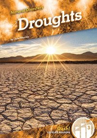 bokomslag Droughts