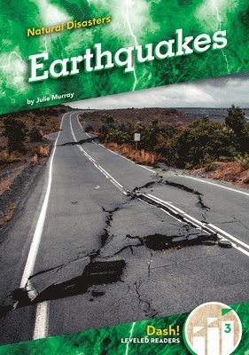 bokomslag Earthquakes