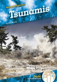 bokomslag Tsunamis