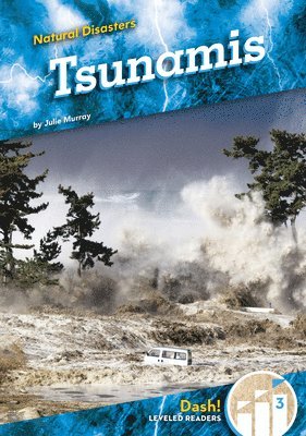 Tsunamis 1