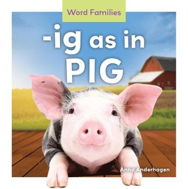 Anna Anderhagen - -ig As in Pig, Inbunden