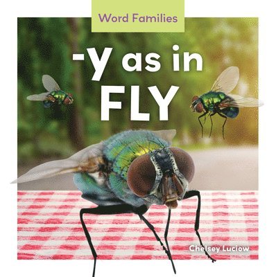 -Y as in Fly 1