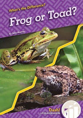 Frog or Toad? 1