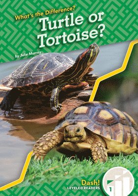 Turtle or Tortoise? 1