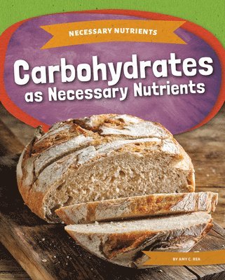 Carbohydrates as Necessary Nutrients 1