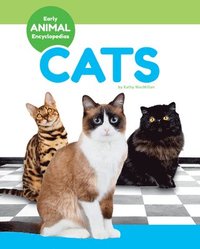 bokomslag Cats