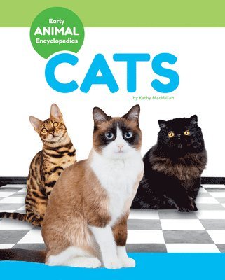 bokomslag Cats