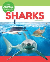 bokomslag Sharks