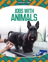 bokomslag Jobs with Animals