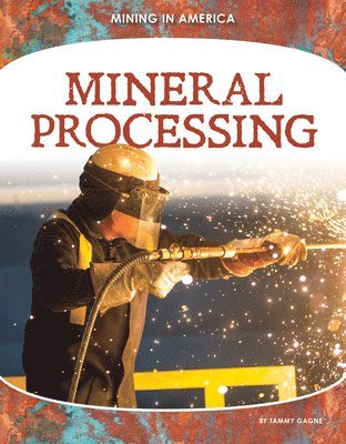 Tammy Gagne - Mineral Processing, Inbunden