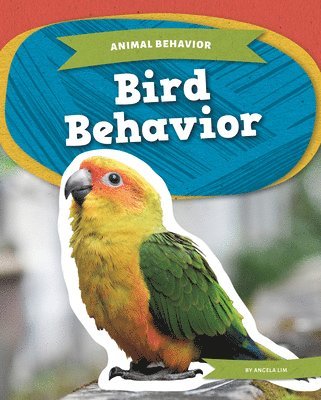 Bird Behavior 1