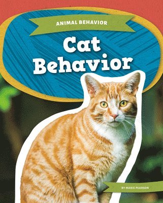 Cat Behavior 1