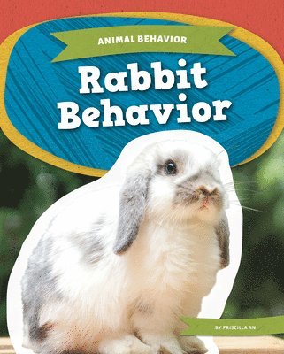 bokomslag Rabbit Behavior