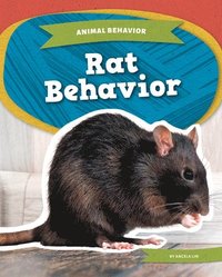 bokomslag Rat Behavior