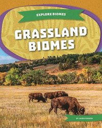 bokomslag Grassland Biomes