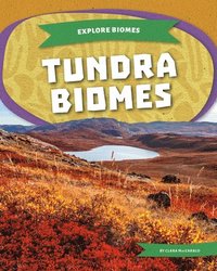 bokomslag Tundra Biomes