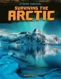 bokomslag Surviving the Arctic