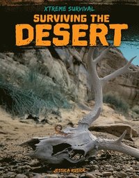 bokomslag Surviving the Desert