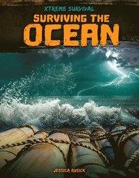 bokomslag Surviving the Ocean