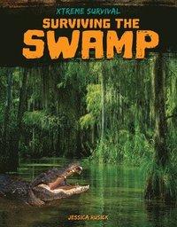 bokomslag Surviving the Swamp
