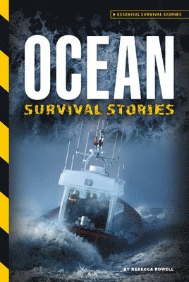 bokomslag Ocean Survival Stories