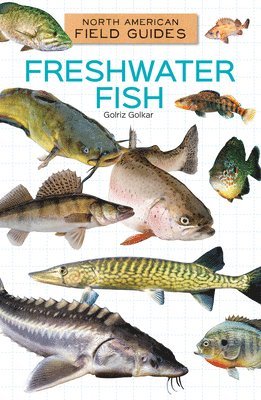 Freshwater Fish 1
