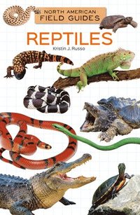 bokomslag Reptiles