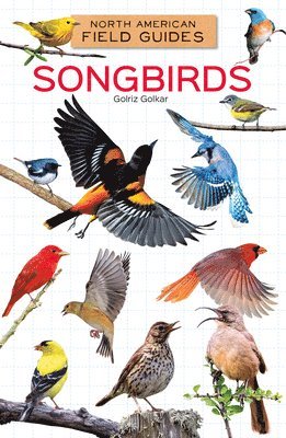 bokomslag Songbirds