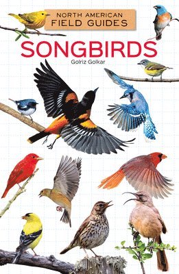 Songbirds 1