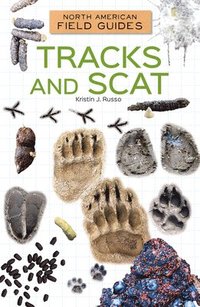 bokomslag Tracks and Scat