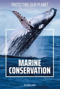 bokomslag Marine Conservation