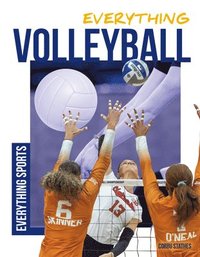 bokomslag Everything Volleyball