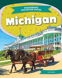 bokomslag Michigan