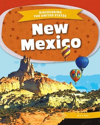 bokomslag New Mexico
