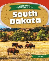 bokomslag South Dakota