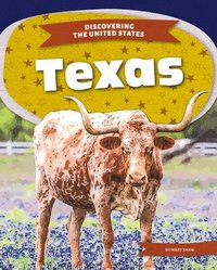 bokomslag Texas