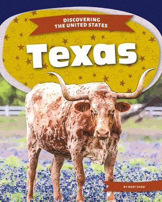 bokomslag Texas