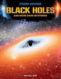 bokomslag Black Holes and More Dark Mysteries