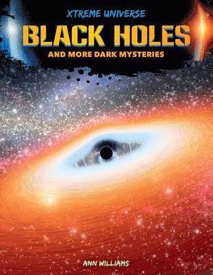 Black Holes and More Dark Mysteries 1