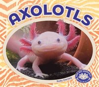 bokomslag Axolotls