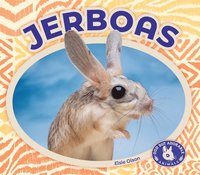 bokomslag Jerboas