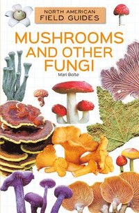 bokomslag Mushrooms and Other Fungi