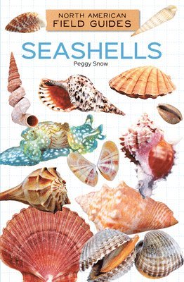 Peggy Snow - Seashells, Inbunden