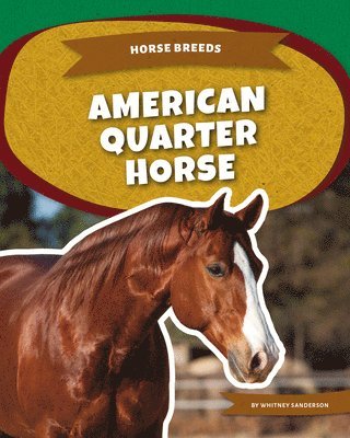 Whitney Sanderson - American Quarter Horse, Inbunden