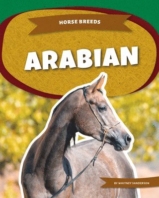 Whitney Sanderson - Arabian, Inbunden