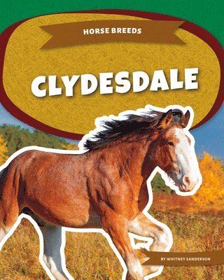 Whitney Sanderson - Clydesdale, Inbunden