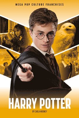 Carla Mooney - Harry Potter, Inbunden